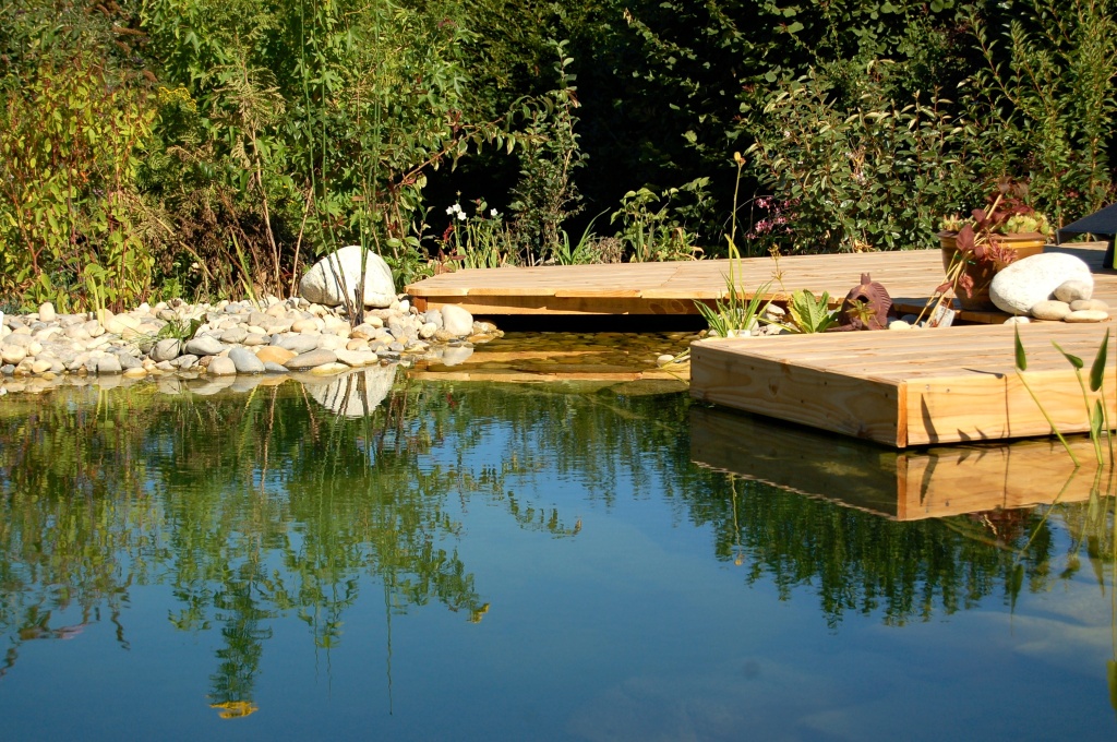 Des piscines aussi naturelles qu’un étang
